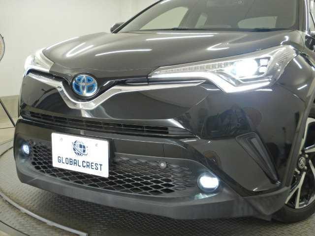 25678310_carP_l_8.jpg