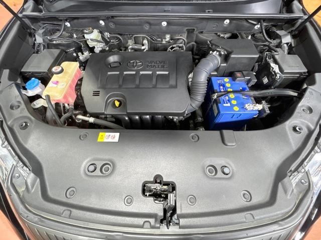 25633116_carP_l_16.jpg