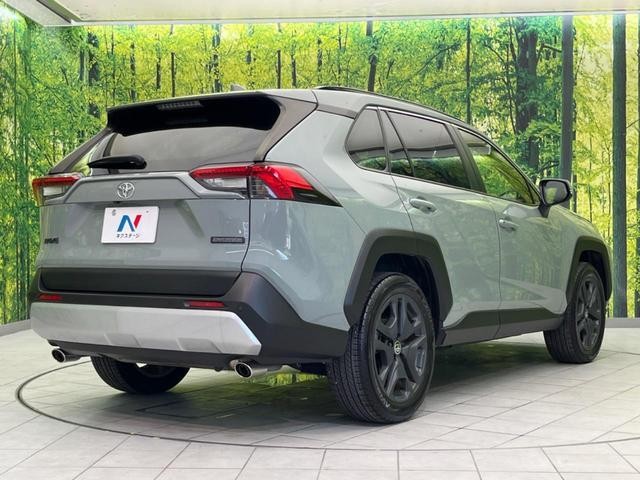 25138118_carP_l_12.jpg