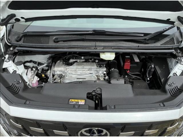 25139019_carP_l_17.jpg