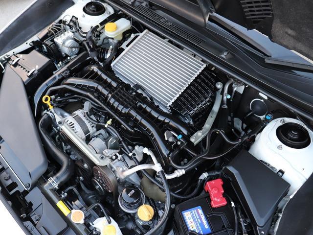 0208719A30260621W00109.jpg