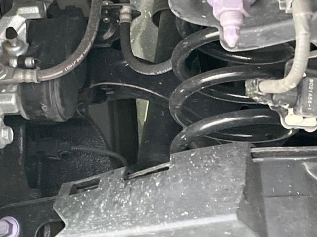 26043507_carP_l_20.jpg