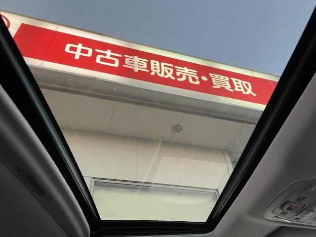 27167922_carP_l_13.jpg