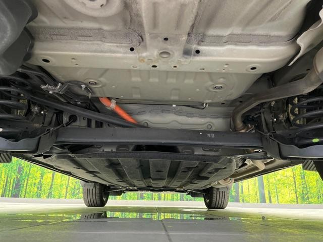 25179055_carP_l_18.jpg