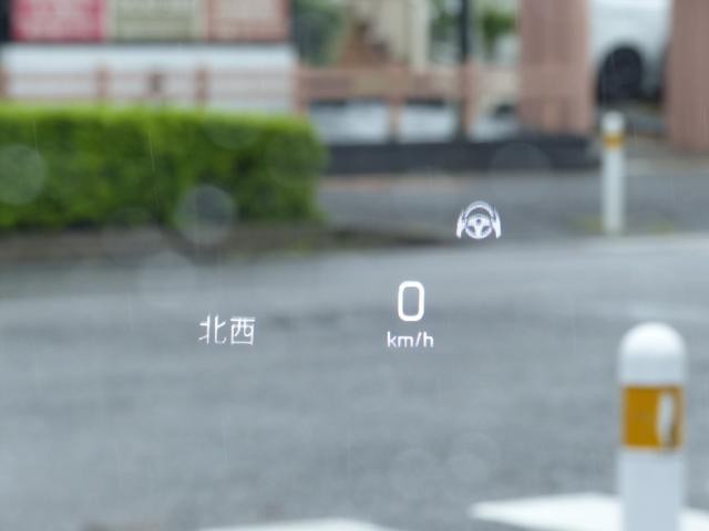 26577690_carP_l_2.jpg