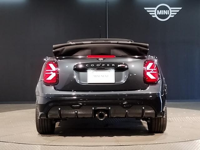25714309_carP_l_10.jpg