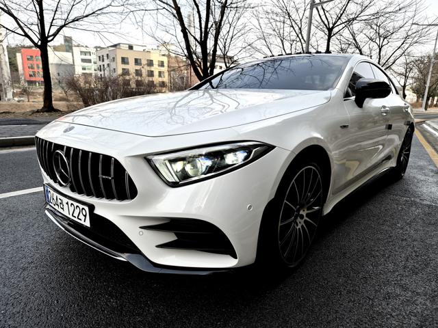 26043156_carP_l_1.jpg