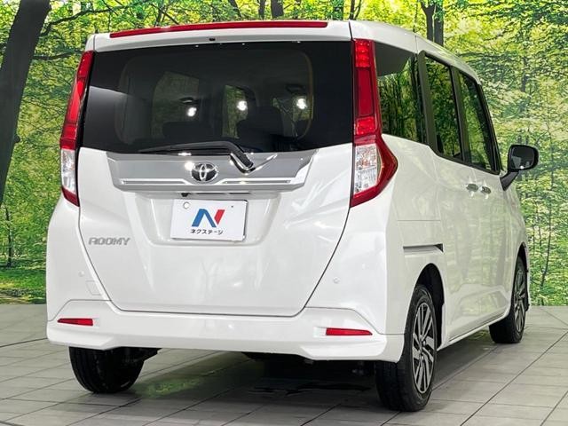 26043532_carP_l_16.jpg