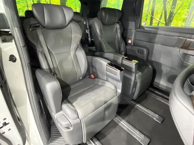 26043533_carP_l_19.jpg