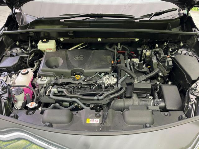 24051004_carP_l_16.jpg