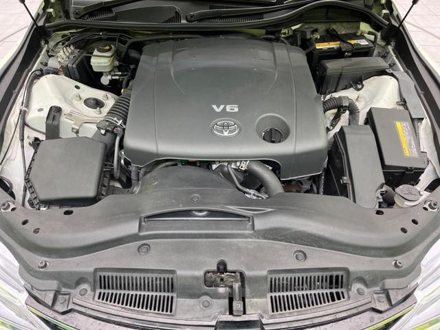 24994745_carP_l_16.jpg