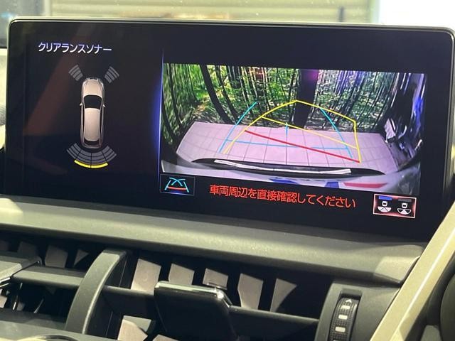 26861585_carP_l_4.jpg