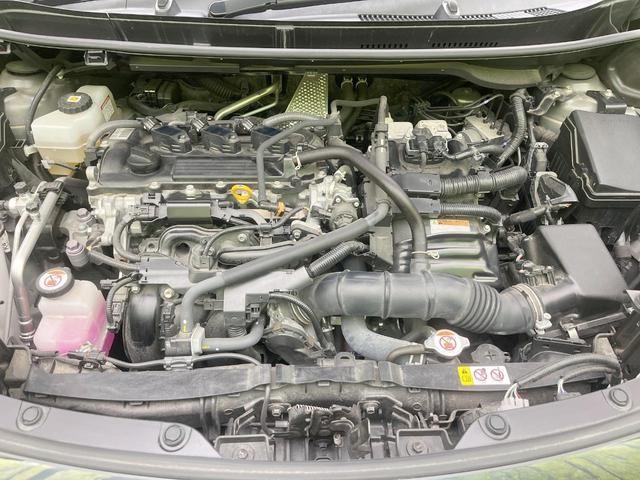 25734303_carP_l_16.jpg