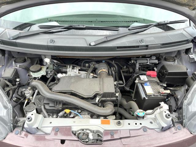 25035862_carP_l_16.jpg