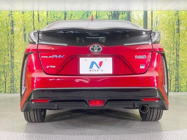 25734305_carP_l_9.jpg