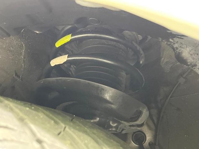 26578253_carP_l_20.jpg