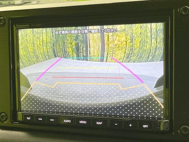 25734308_carP_l_13.jpg