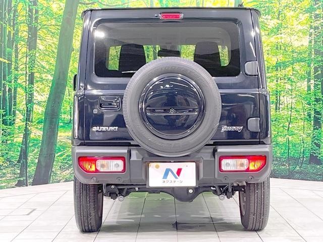 25653052_carP_l_9.jpg