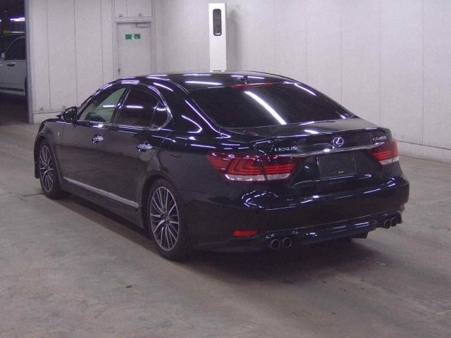 26408692_carP_l_3.jpg