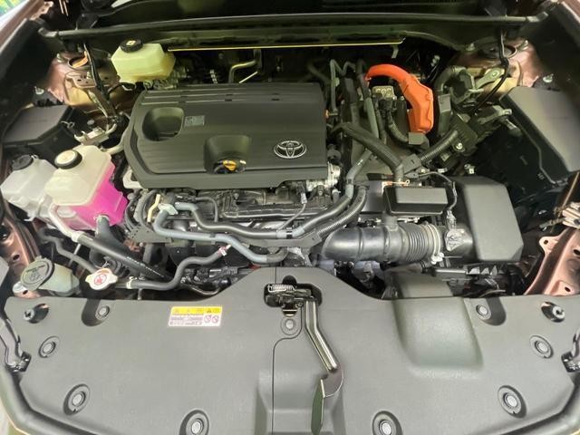 26988892_carP_l_16.jpg