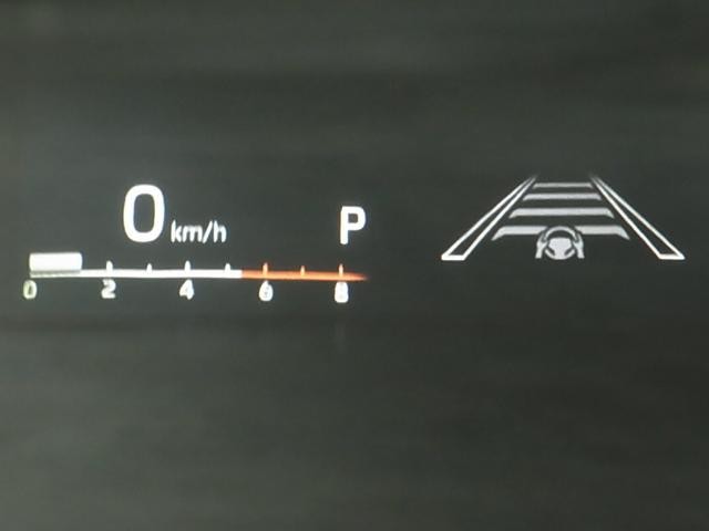 0500075A20261021K00319.jpg