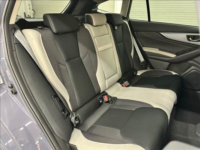 26440934_carP_l_6.jpg