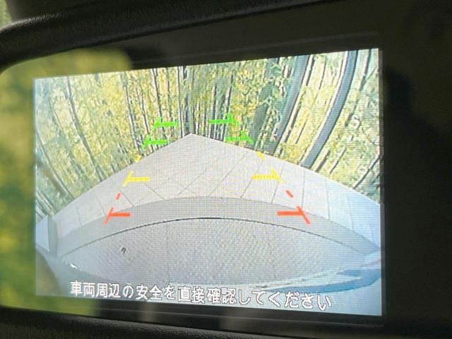 25734310_carP_l_13.jpg