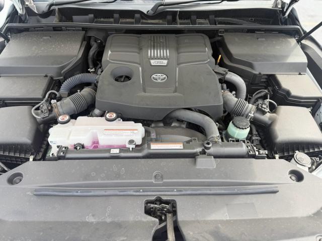 25551202_carP_l_11.jpg