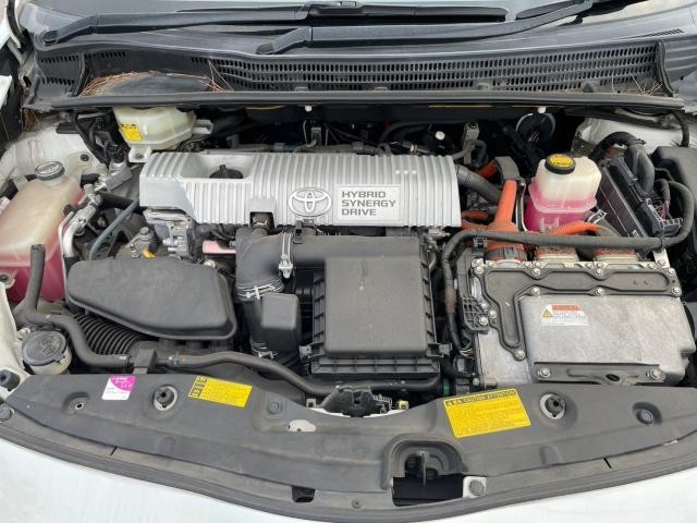 26973479_carP_l_17.jpg