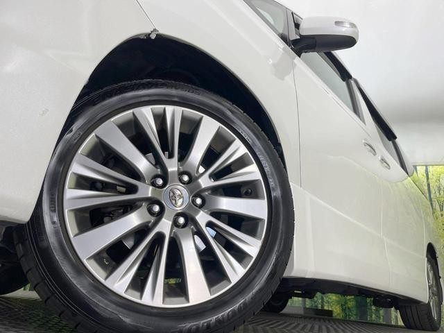 26557231_carP_l_8.jpg
