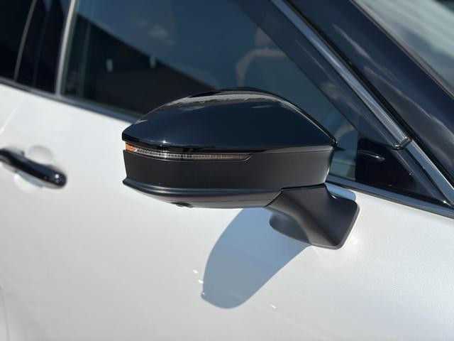 26689477_carP_l_16.jpg