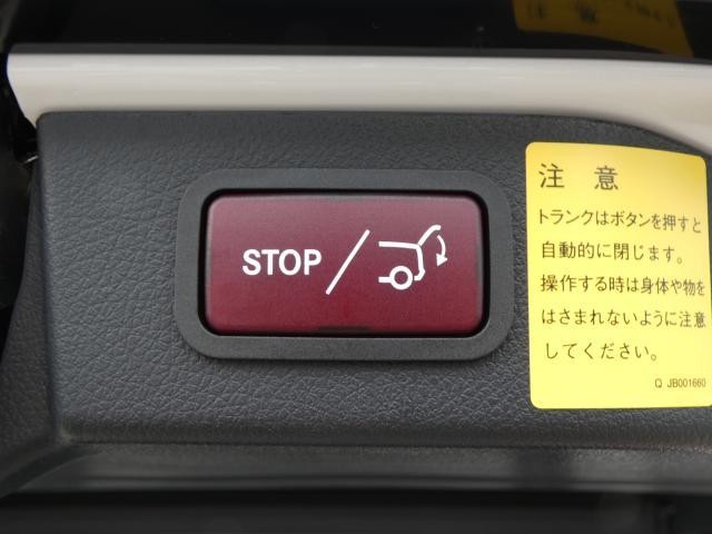 26272300_carP_l_18.jpg