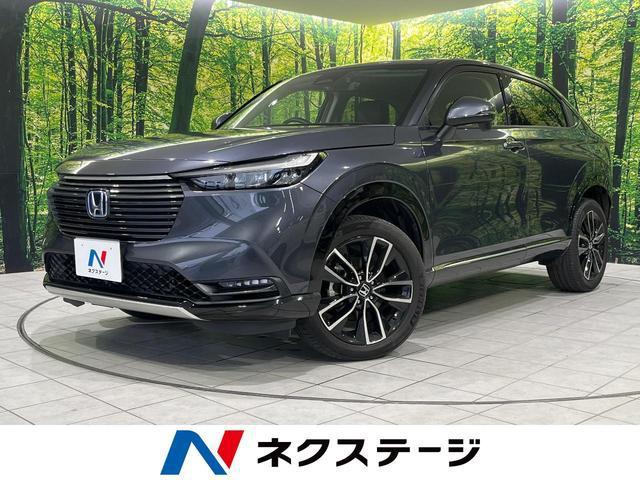 25035968_carP_l_1.jpg