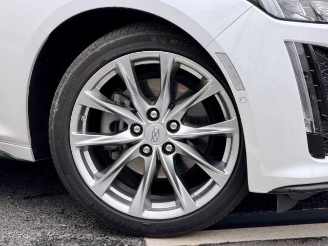 26106261_carP_l_18.jpg