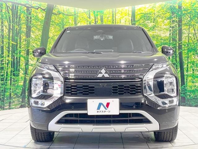 25673592_carP_l_9.jpg