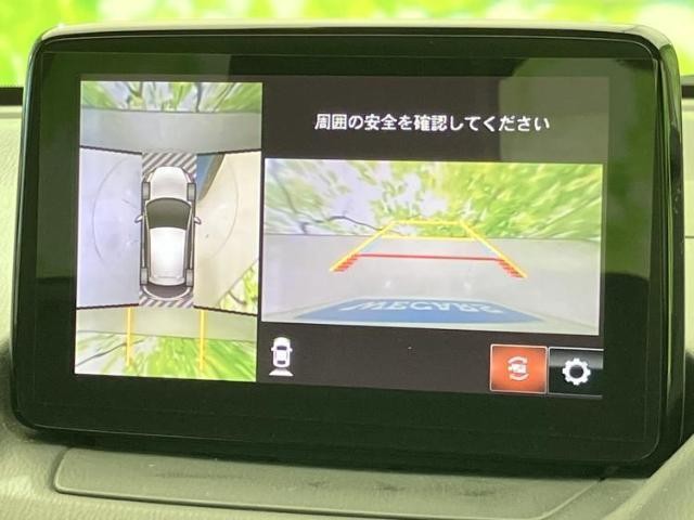 24913067_carP_l_6.jpg