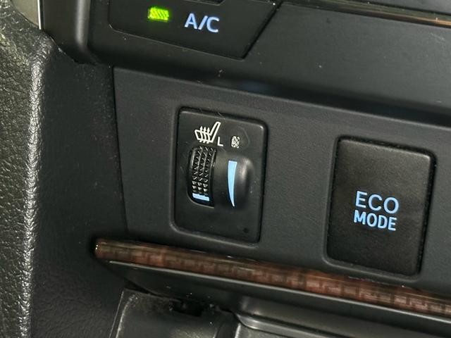 0204116A30261002W00207.jpg