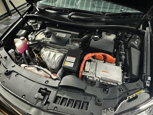0204116A30261002W00215.jpg