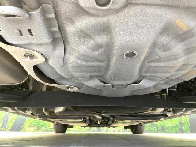 24849805_carP_l_18.jpg