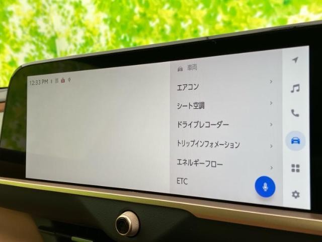 24752896_carP_l_7.jpg