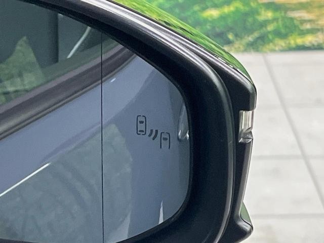 25673667_carP_l_13.jpg