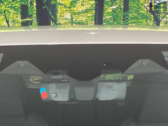 24051262_carP_l_15.jpg
