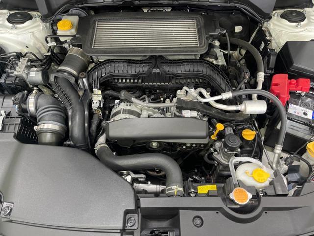 24051262_carP_l_16.jpg