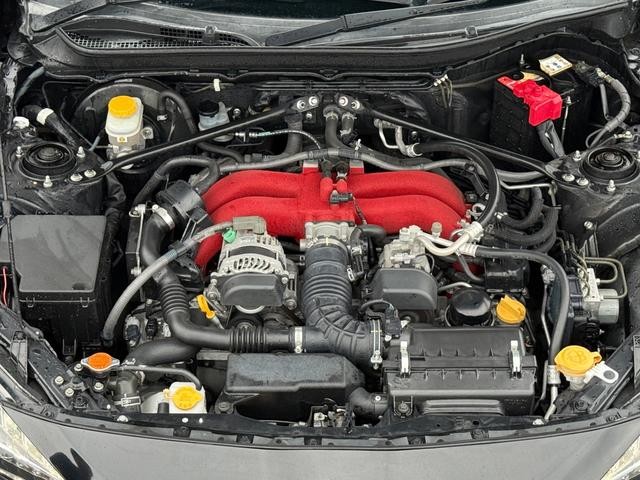 0208956A30260927W00212.jpg