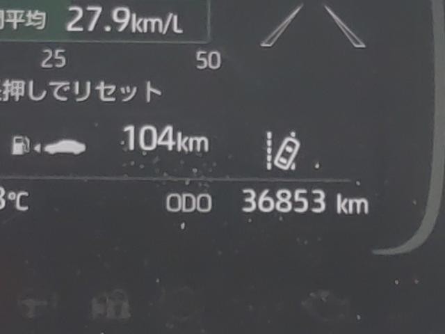 26460853_carP_l_2.jpg