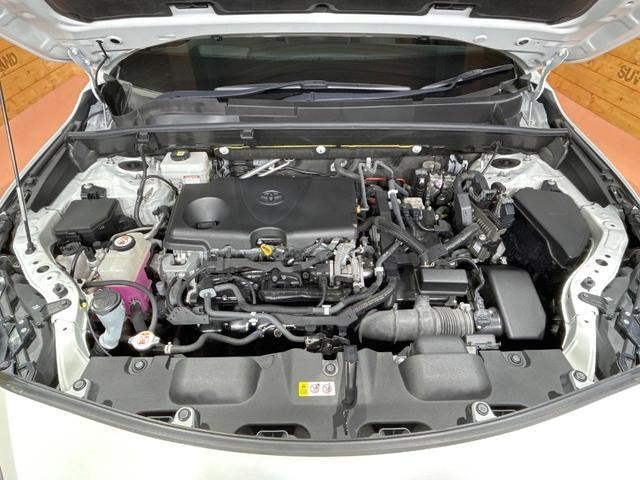 26043879_carP_l_16.jpg