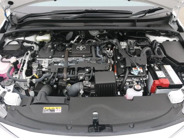 26778966_carP_l_17.jpg