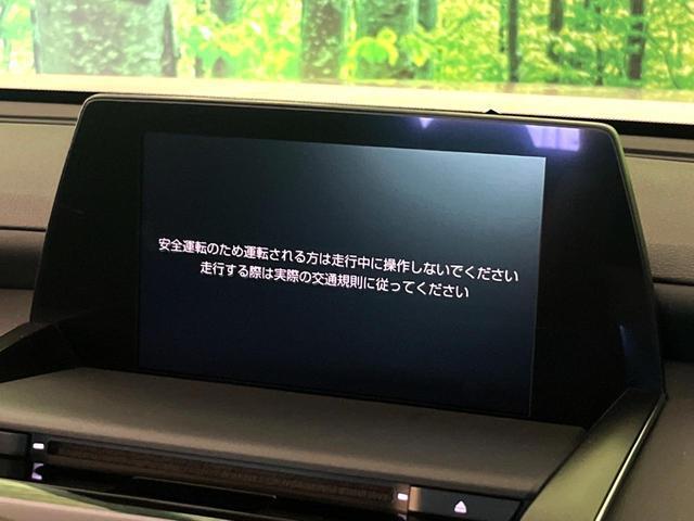 24561919_carP_l_15.jpg