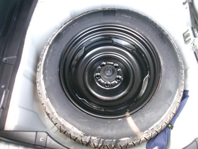 25430891_carP_l_20.jpg