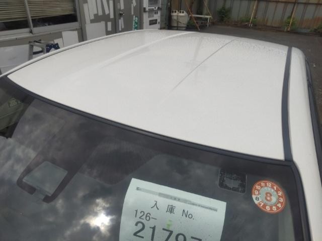 26460855_carP_l_14.jpg